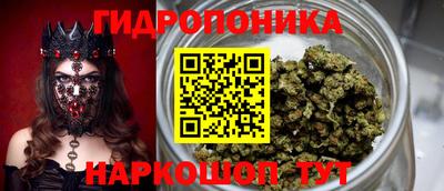 амф Нальчик