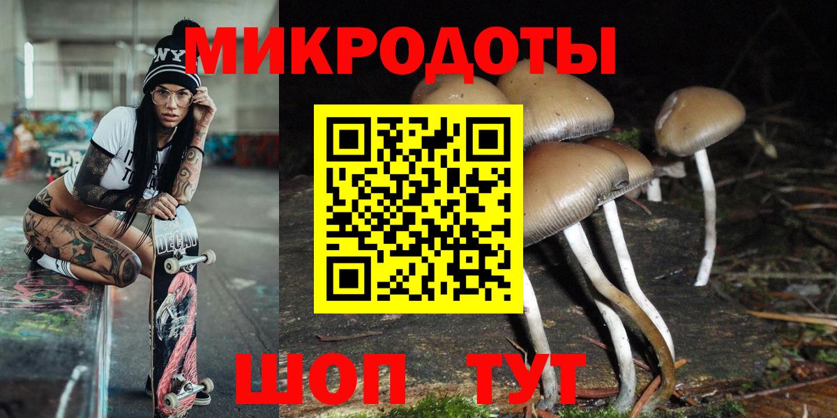 Псилоцибиновые грибы Cubensis  Вход с VPN  Старая Купавна  Галлюциногенные грибы Magic Shrooms 